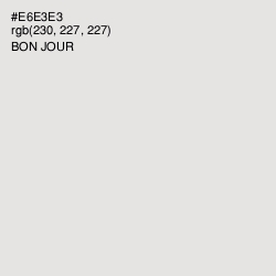 #E6E3E3 - Bon Jour Color Image